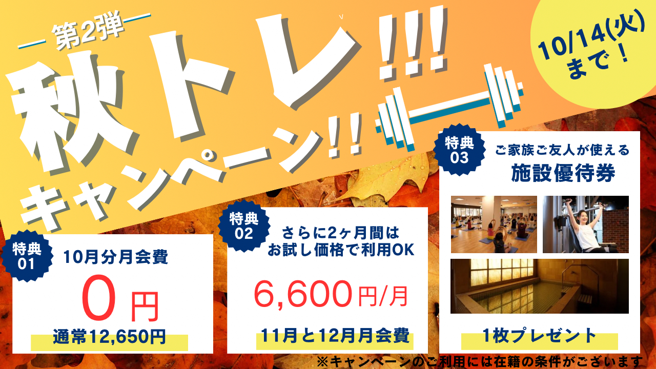 9月秋3